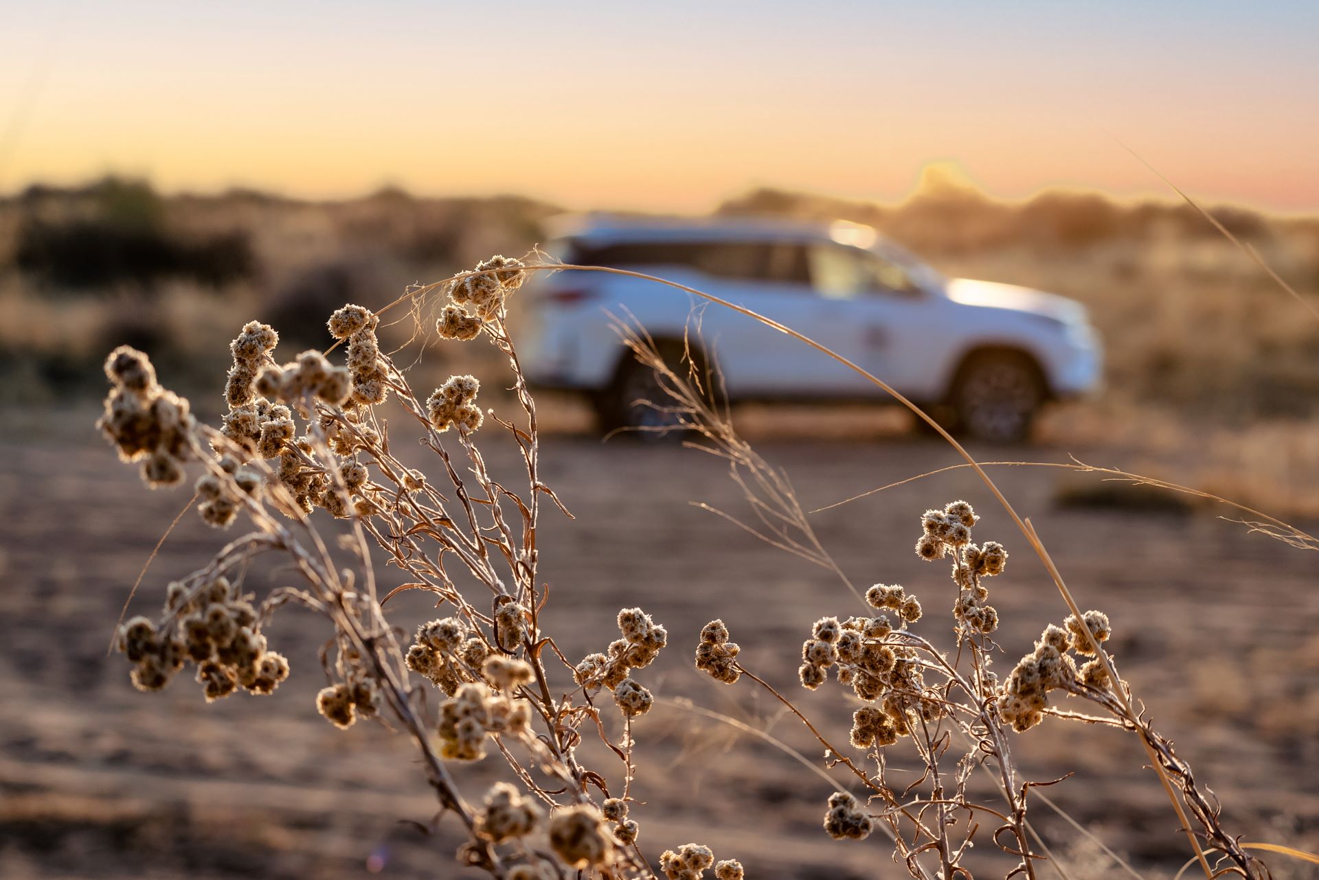 Namibia